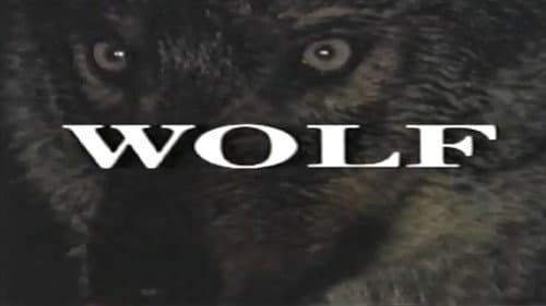 Predators of the Wild: Wolf Bild 1