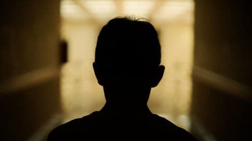 Filhos da Cana Bild 1