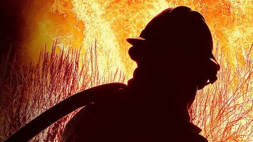 Cal Fire Bild 3