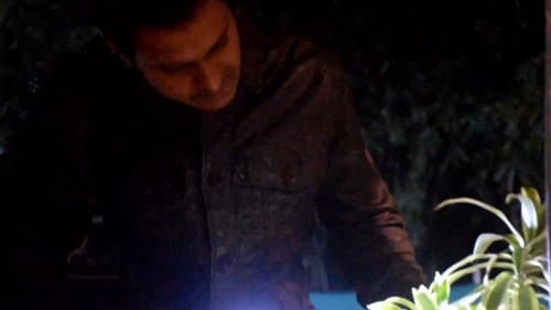 1984 Death Only Cure Bild 6