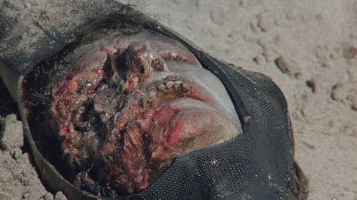 The Beast - Unheimliche Tiefe Bild 2