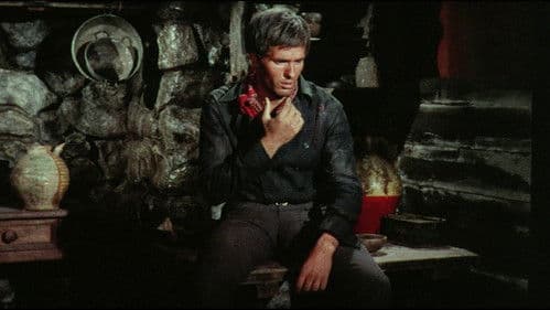 Tampeko – Ein Dollar hat zwei Seiten Bild 3