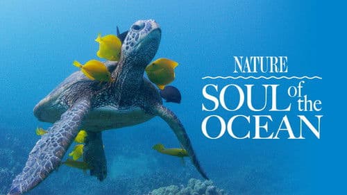 Soul of the Ocean Bild 3
