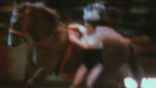 Notes on the Circus Bild 2