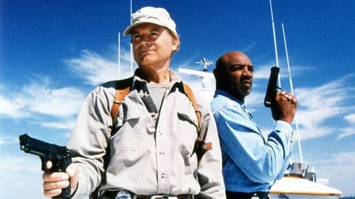 Virtual Weapon Bild 5