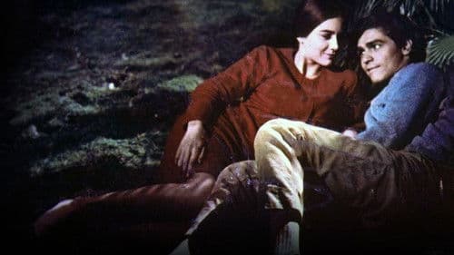 Assicurasi vergine Bild 1