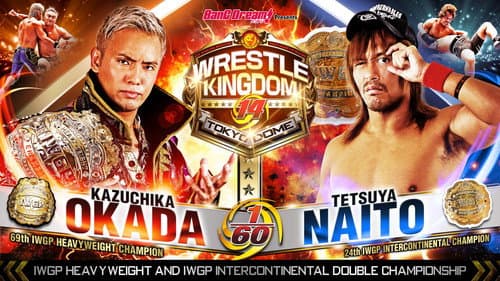 NJPW Wrestle Kingdom 14: Night 2 Bild 1