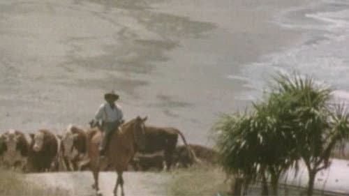 Ngāti Bild 2