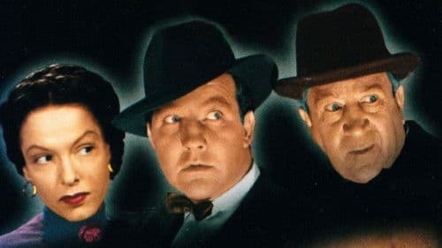 The Black Cat Bild 3