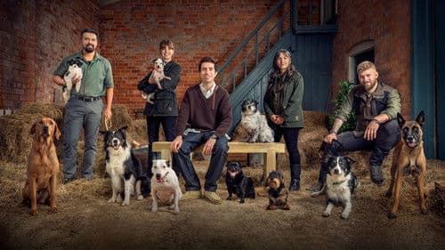 Bad Dog Academy Bild 2