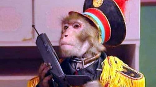 动物王国窃案 Bild 1