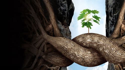 Intelligente Bäume Bild 1