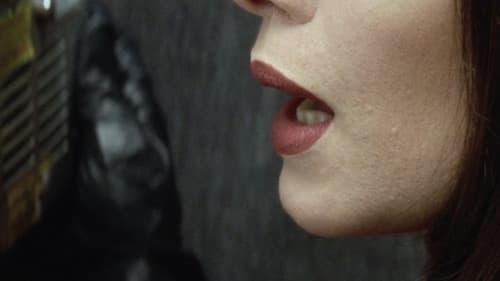 Gaudi Afternoon Bild 6