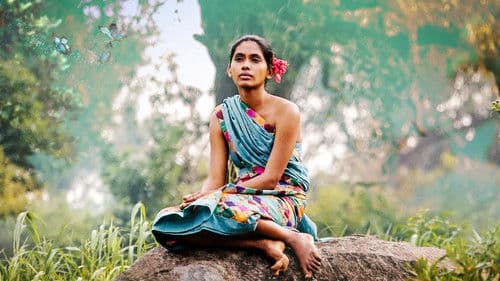 குதிரைவால் Bild 4