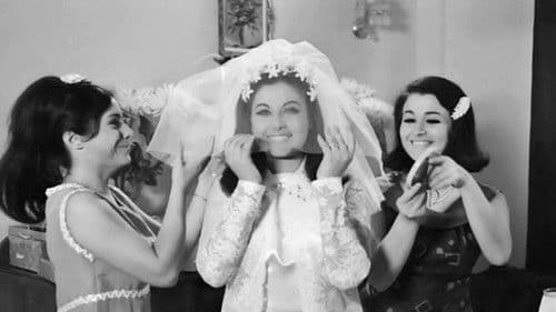 Τρελλός, Παλαβός και Βέγγος Bild 1