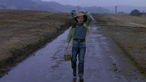 Gabilan, mein bester Freund Bild 4