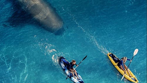 The Reef: Stalked Bild 3