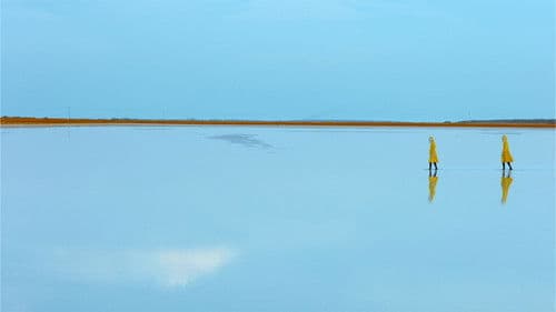 Yo y las Bestias Bild 5