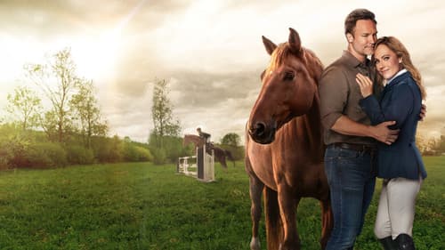 Taking the Reins Bild 2