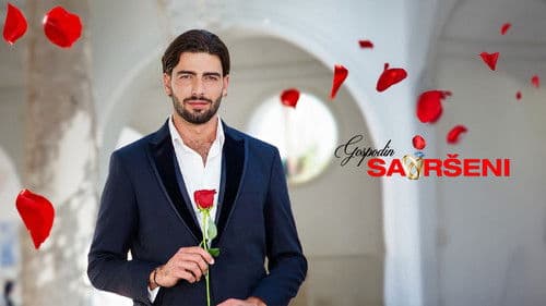 Gospodin Savršeni Bild 1