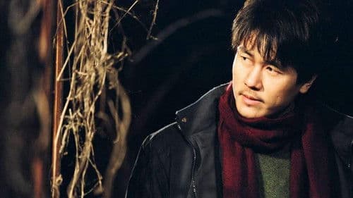 Spider Forest - Wald der verlorenen Seelen Bild 1