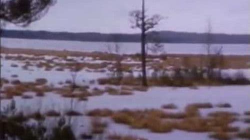 По прямой Bild 1