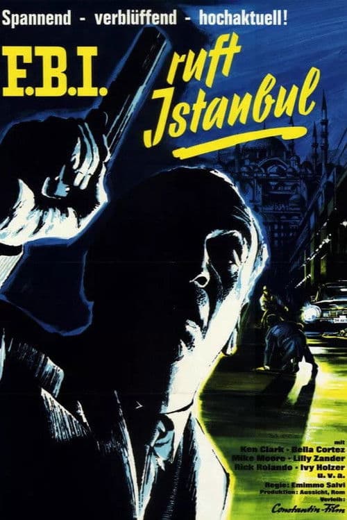 F.B.I. ruft Istanbul