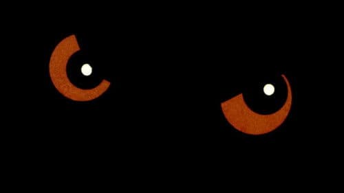 Die Hunde sind los Bild 5