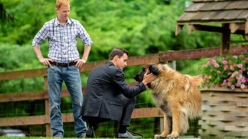 At Home in Mitford Bild 7