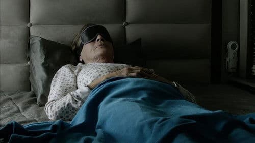 The Quiet Roar Bild 1