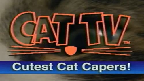 Cutest Cat Capers Bild 1