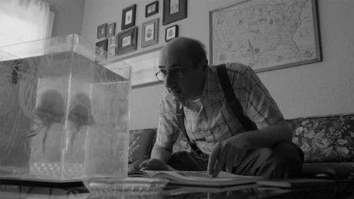 Sherman and Pacifico Bild 1