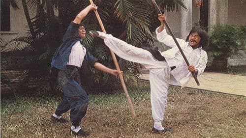 Die Rache des Kung Fu Tigers Bild 1