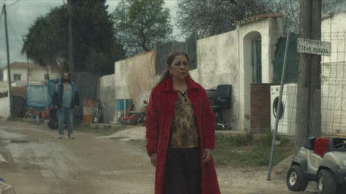 Mallorca Confidencial Bild 1