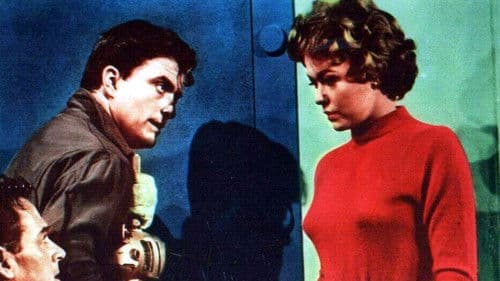 Valley of the Redwoods Bild 1