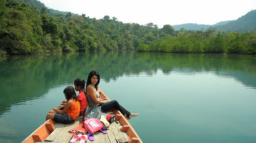 Talking to the Trees Bild 4