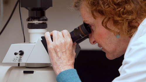 We're All Plastic People Now Bild 1