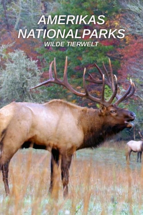 Amerikas Nationalparks: Wilde Tierwelt