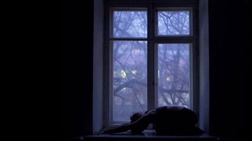 Ніч Леополіса Bild 1