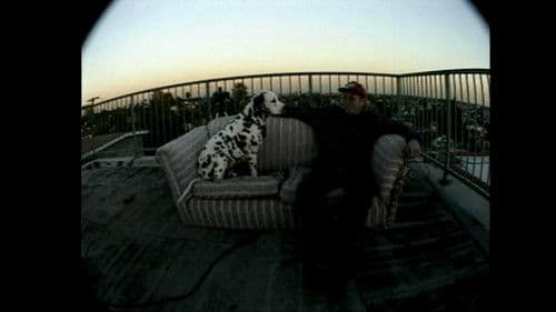 Sublime | Stories, Tales, Lies & Exaggerations Bild 1