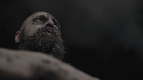 Shadows of Light Bild 8