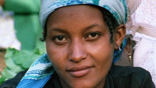 Sans Soleil – Unsichtbare Sonne Bild 8