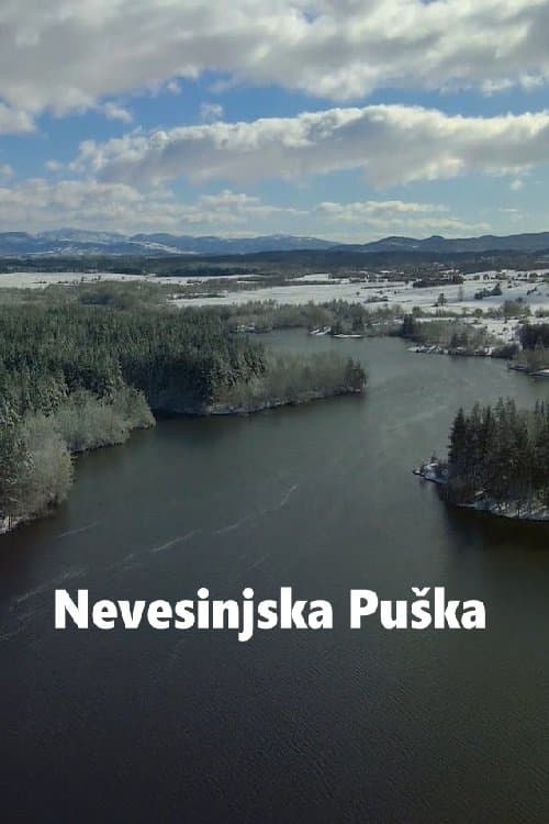 Nevesinjska puška