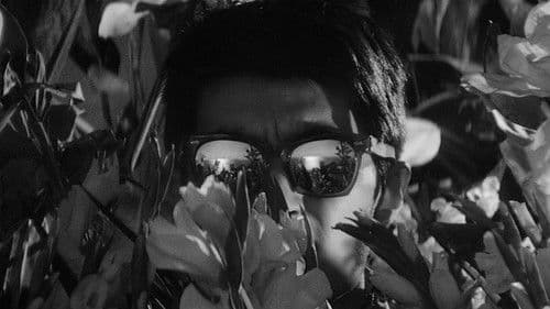 Zwischen Himmel und Hölle Bild 8