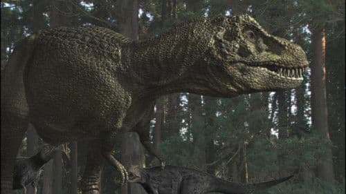 Auf der Spur der Dinosaurier Bild 1