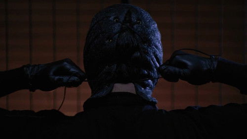 The Collection - The Collector 2 Bild 3