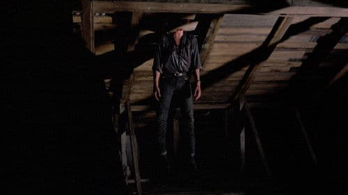 Killing Birds Bild 3