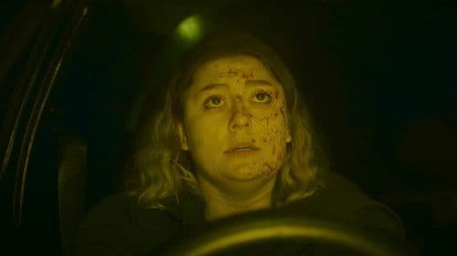 The Yellow Rabbit Bild 2