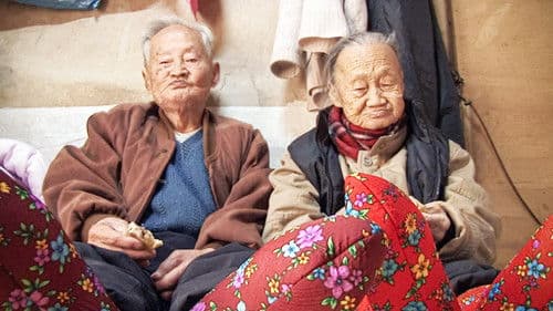 나부야 나부야 Bild 1