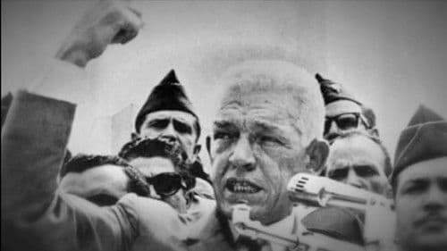 7 meses y un Gaviño Bild 1